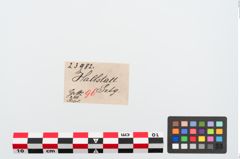 Etiketten zu Bronzeschlangenfibel (NHMW-PRAE-023982)
